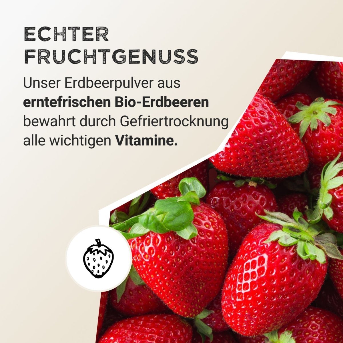 Fruit Powder - Strawberry