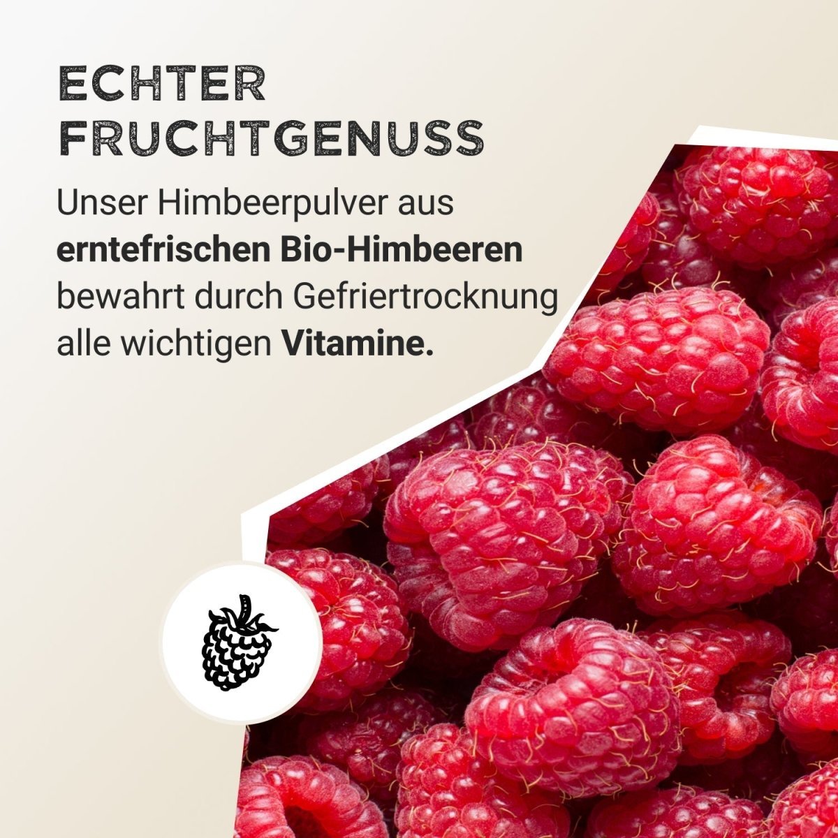 Fruit Powder - Raspberry